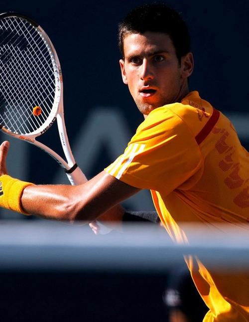 汉密尔顿与 汉密尔顿与